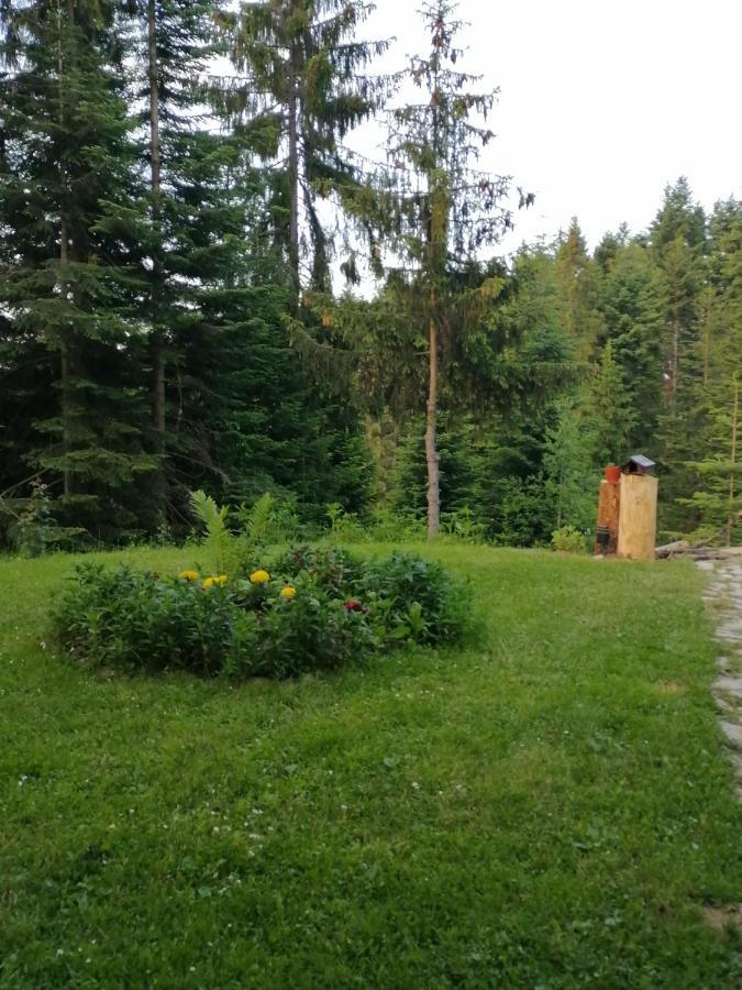 Brdo P-Zlatar, Apartman 3 المظهر الخارجي الصورة